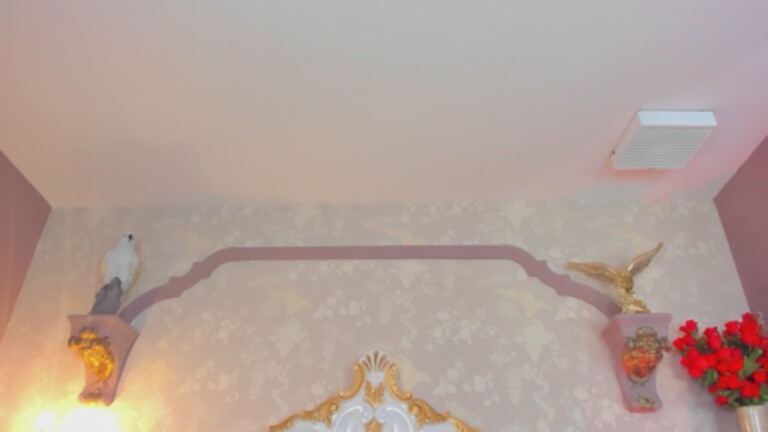 ZuzanHoll's Streamate show and profile